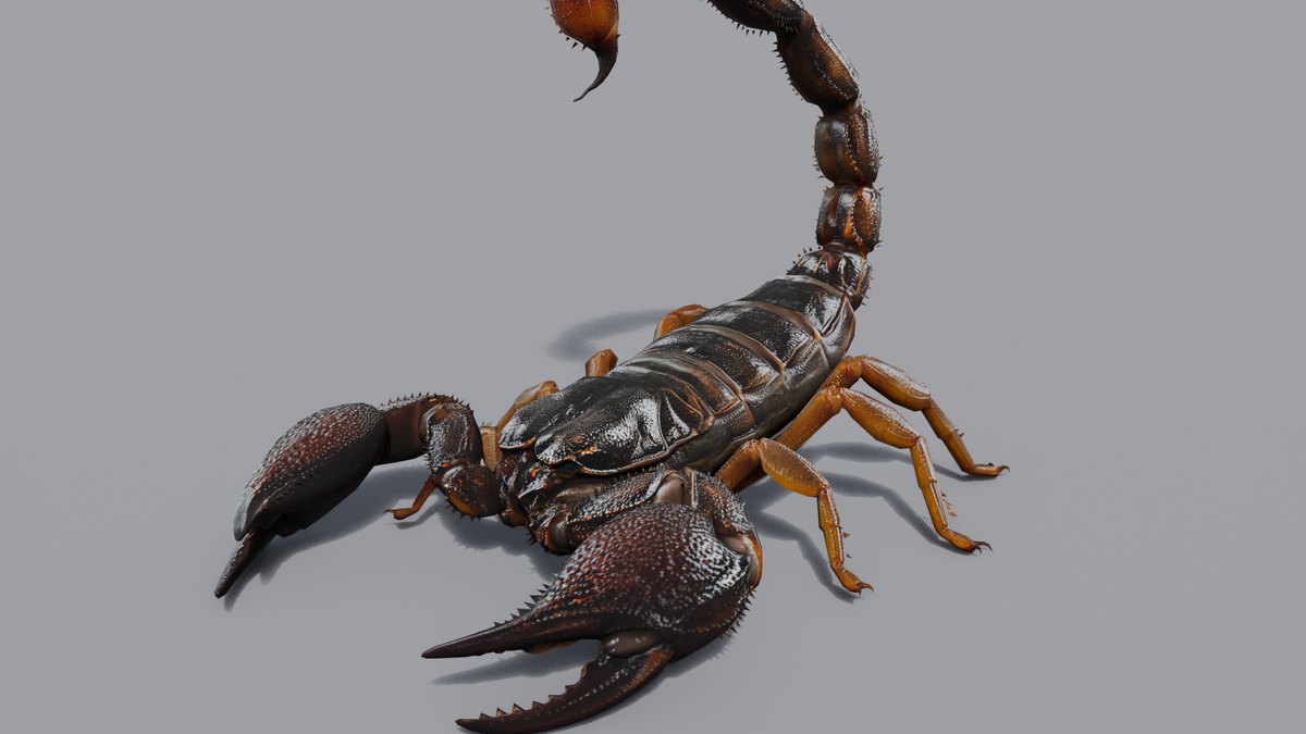 Scorpion: creatura rigged e animata per Blender
