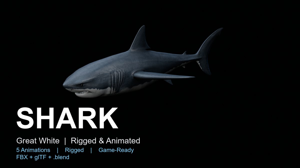 Shark: squalo rigged e animato per Blender